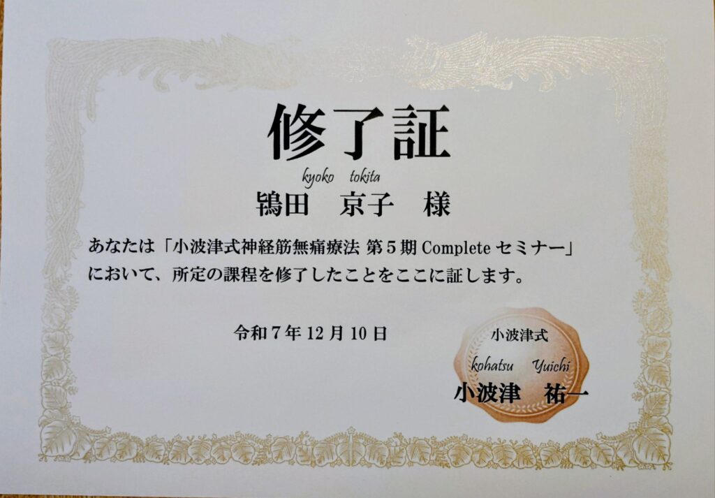 img 20251217 2317463894267640993901231